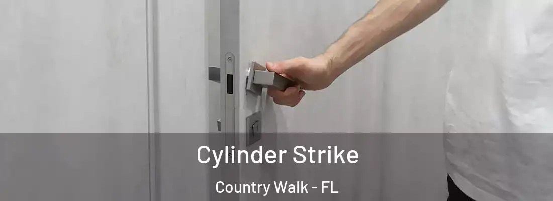  Cylinder Strike Country Walk - FL