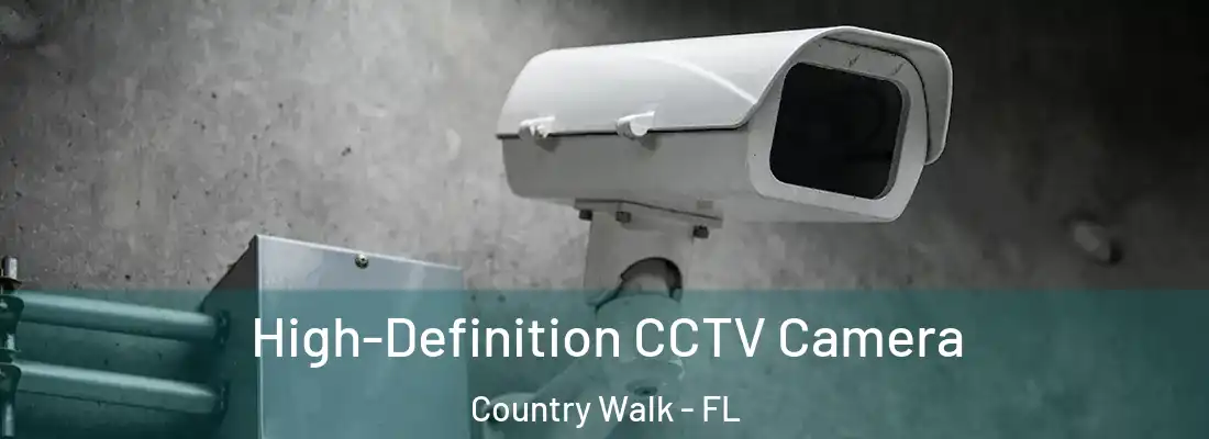  High-Definition CCTV Camera Country Walk - FL
