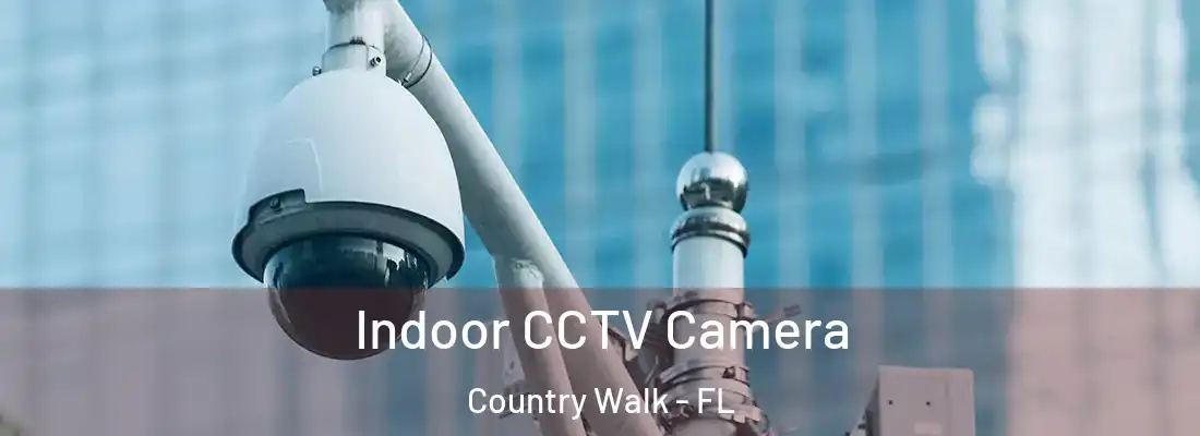  Indoor CCTV Camera Country Walk - FL