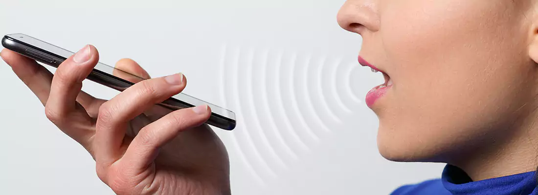 Residential and Commercial Voice Recognition Access Solutions in Country Walk, FL