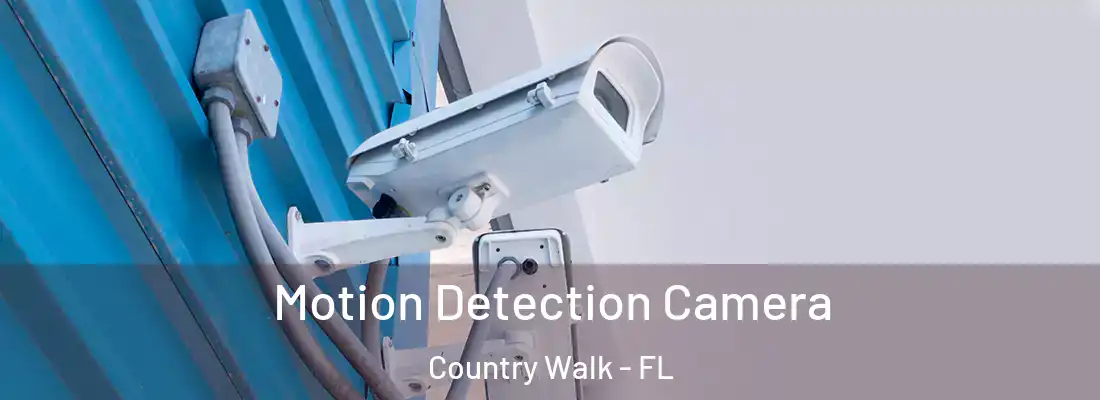  Motion Detection Camera Country Walk - FL