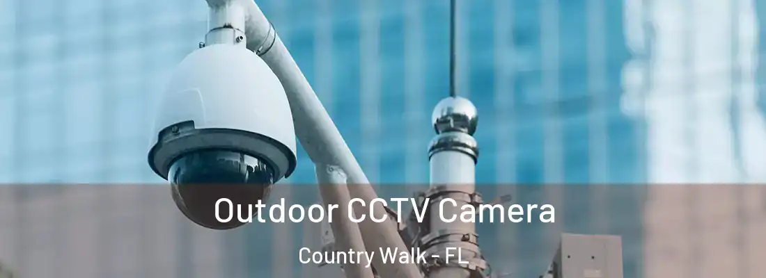 Outdoor CCTV Camera Country Walk - FL